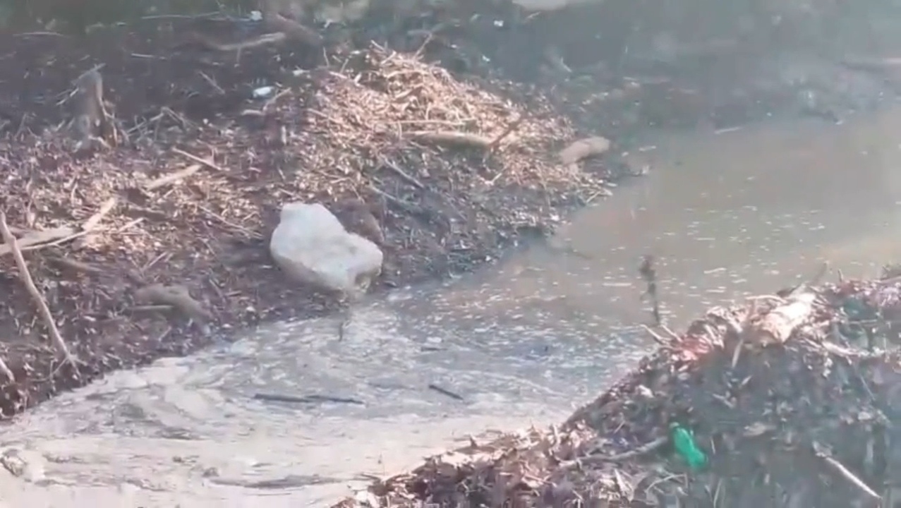 Comunitarios reclaman construcción de puente y limpieza entre Palo Blanco y Santa María